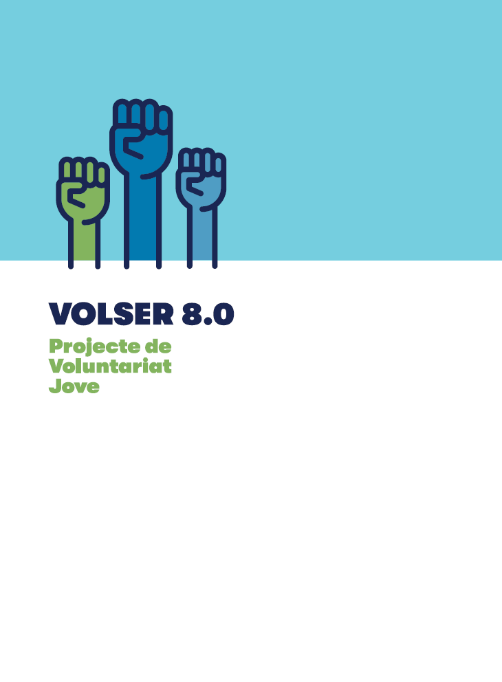 volser